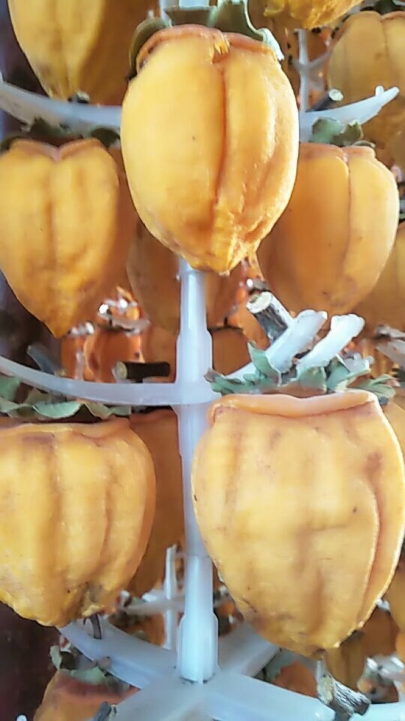 柿饼