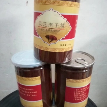 产地直销批发各种灵芝，孢子粉