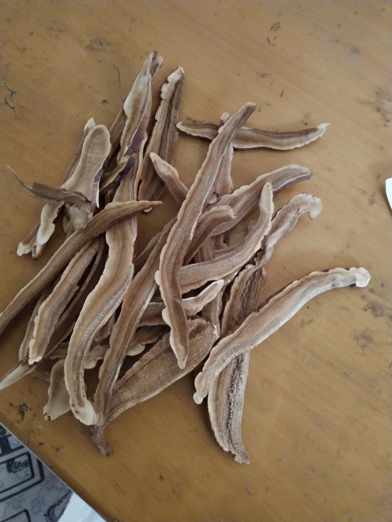 产地直销批发各种灵芝，孢子粉
