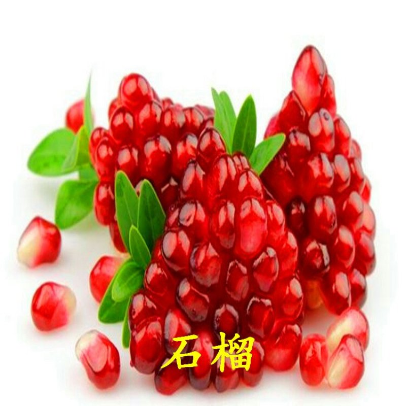 红石榴苗泰山红石榴树苗