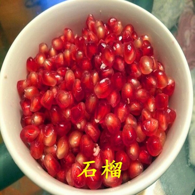 红石榴苗泰山红石榴树苗