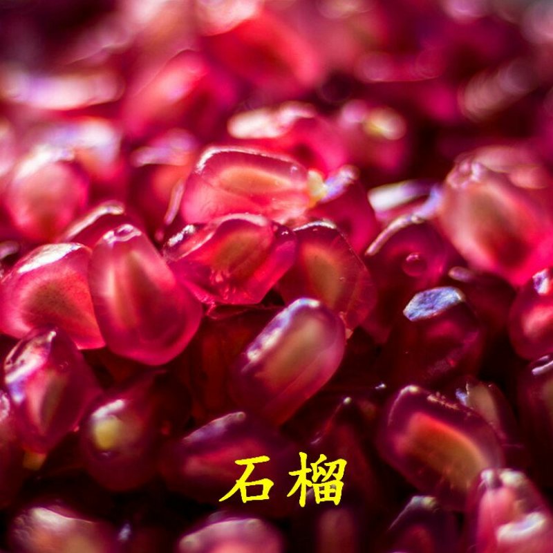 红石榴苗泰山红石榴树苗