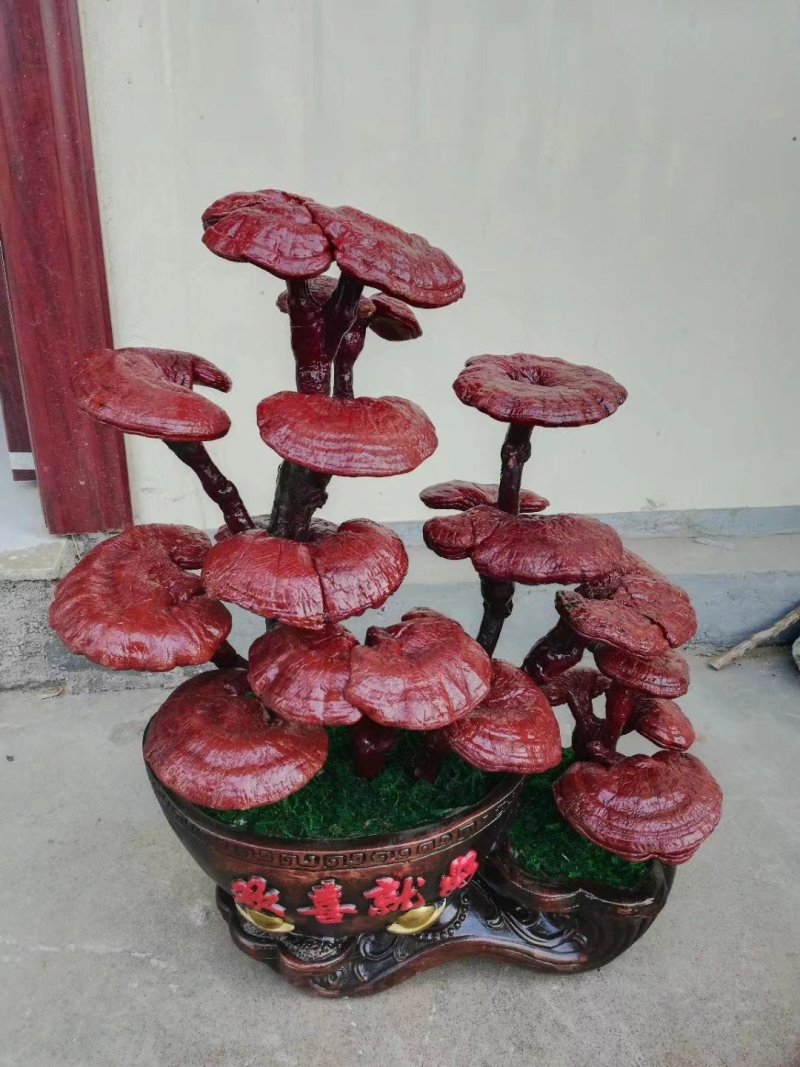 产地直销批发各种灵芝，孢子粉，各种灵芝系列，精美礼品盒包
