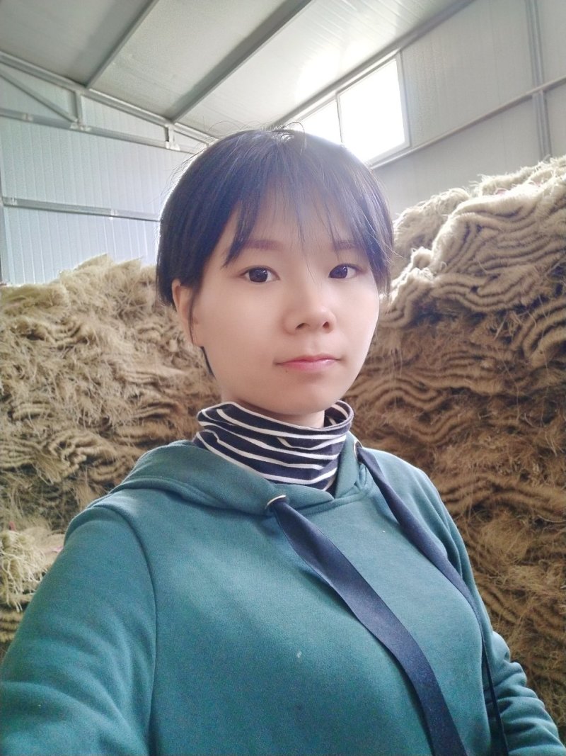 纯手工红薯粉条，厂家直销。