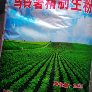 淀粉