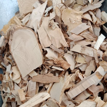 八角枫根批发各种中药材批发零售各种规格中药材