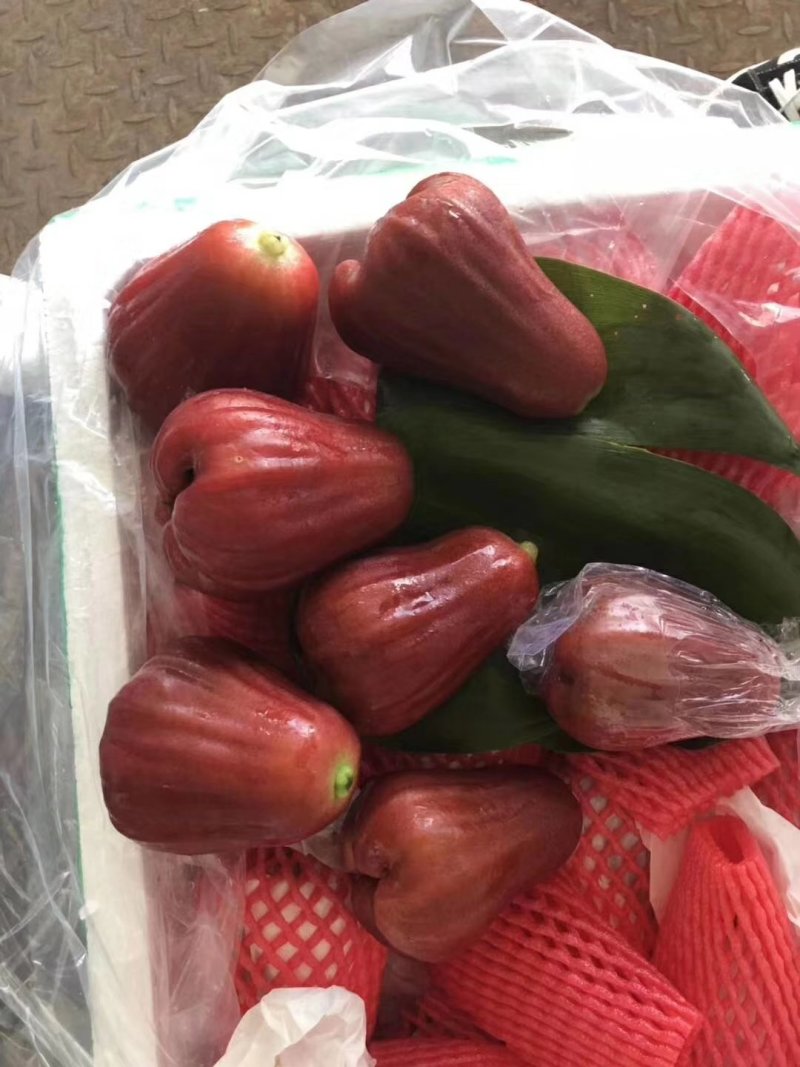 莲雾