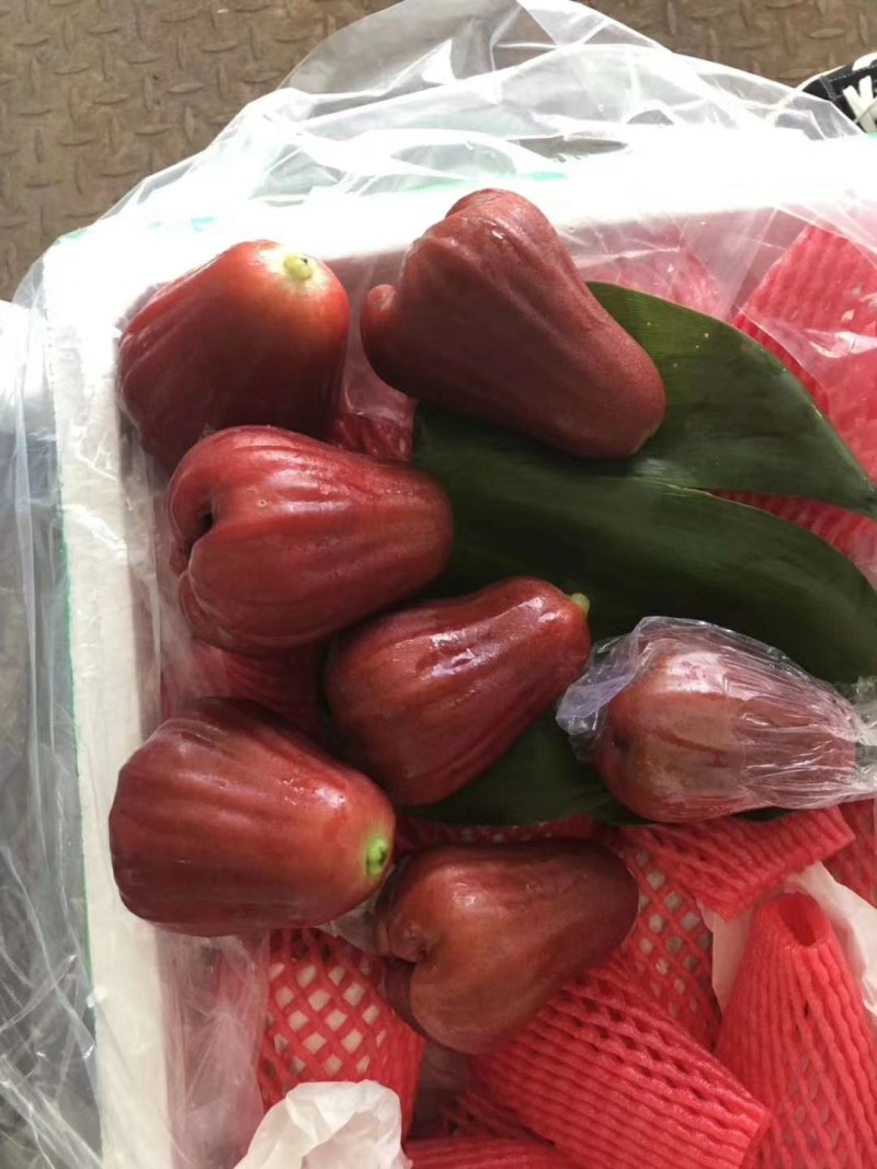 莲雾