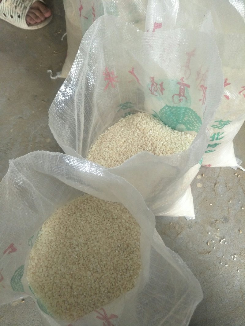 碱米