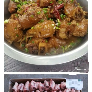 前腱筋