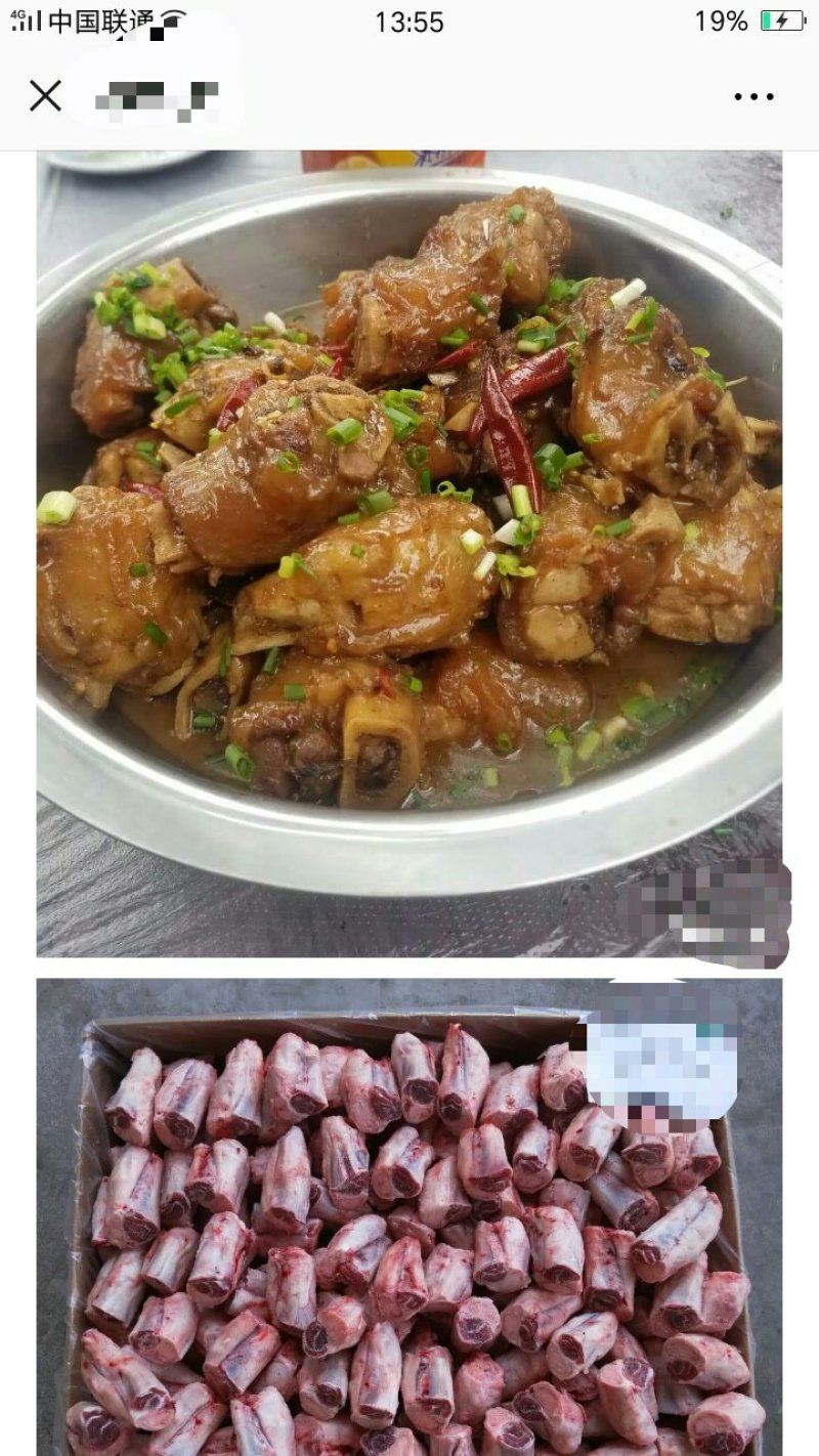 前腱筋