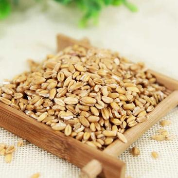浮小麦淮小麦批发各种规格中药材