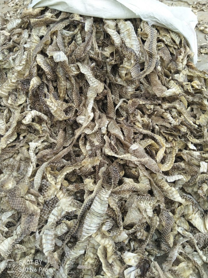 中药材—蛇蜕，龙衣,,5斤起发