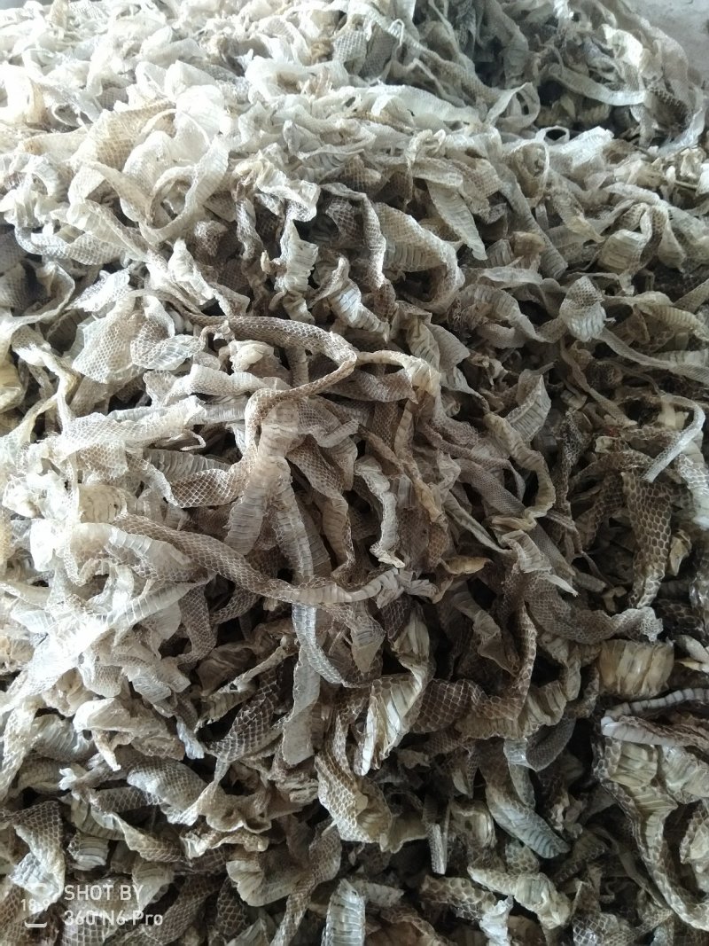 中药材—蛇蜕，龙衣,,5斤起发