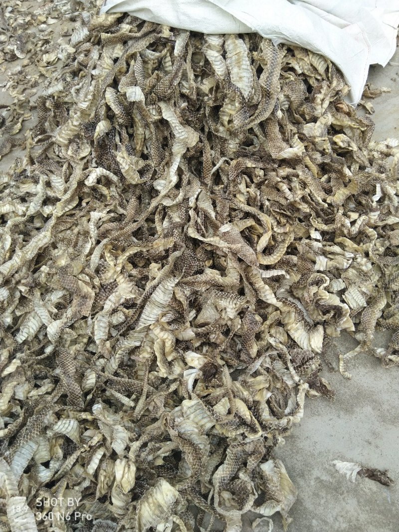 中药材—蛇蜕，龙衣,,5斤起发