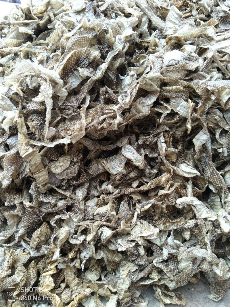 中药材—蛇蜕，龙衣,,5斤起发
