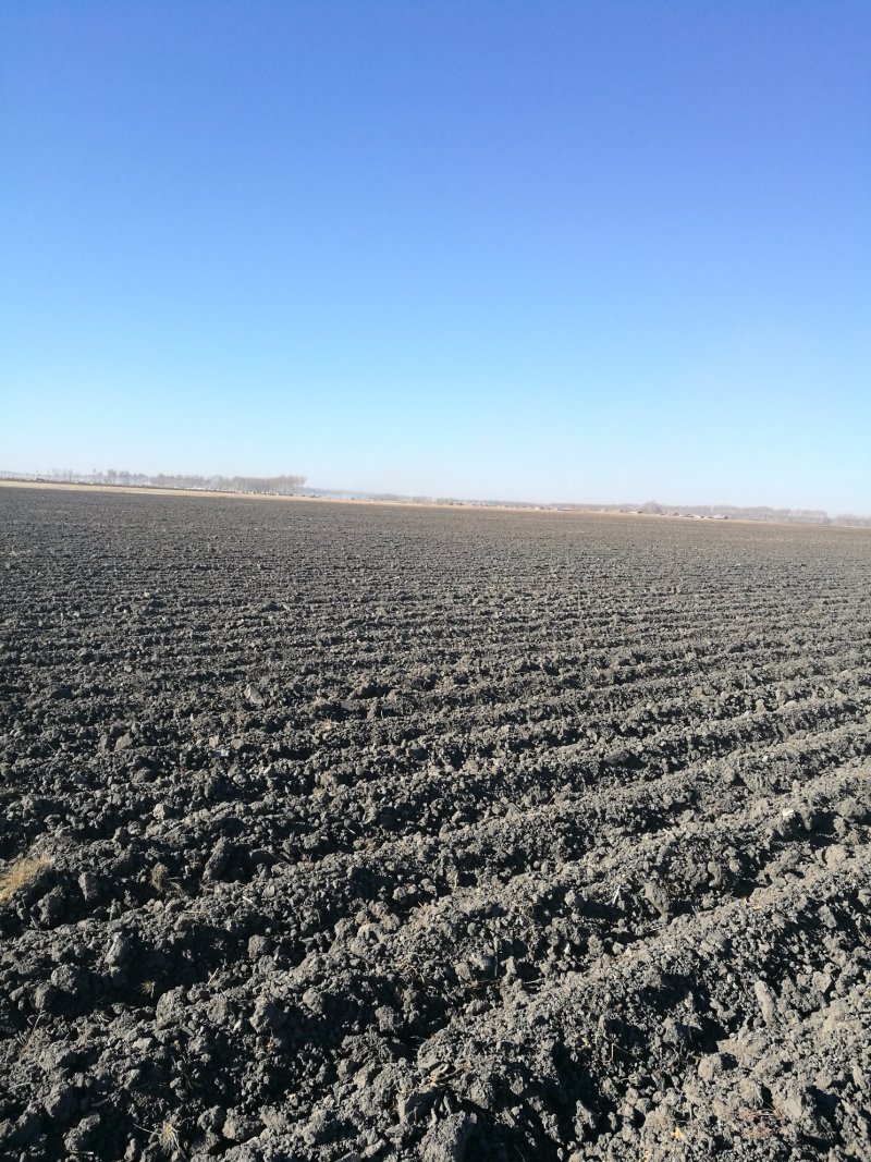 梅里斯哈力村