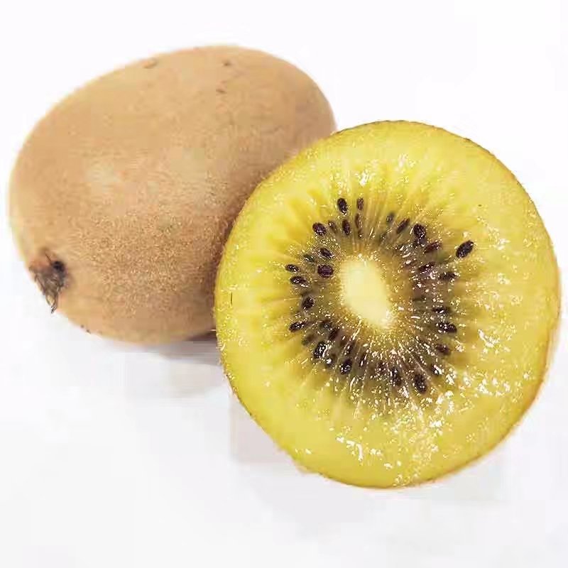 奇异果