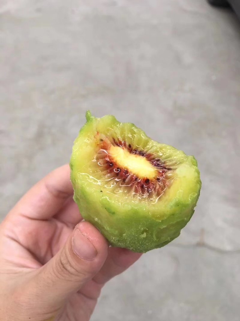 红肉奇异果