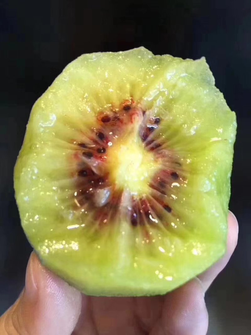 红肉奇异果