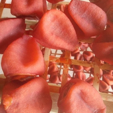 广西瑶山吊柿饼