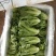 生菜3两以上，泡沫箱装，精品靓菜大利，欢迎商超订购合作