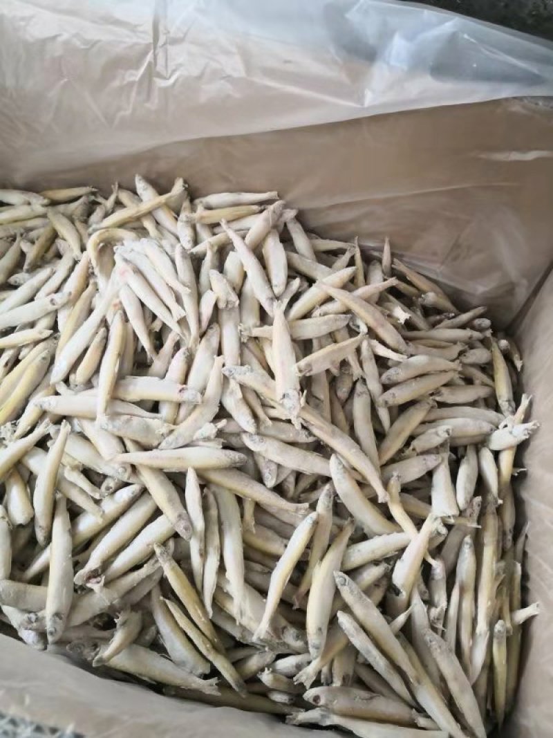 大理洱海特产，规格8一12公分