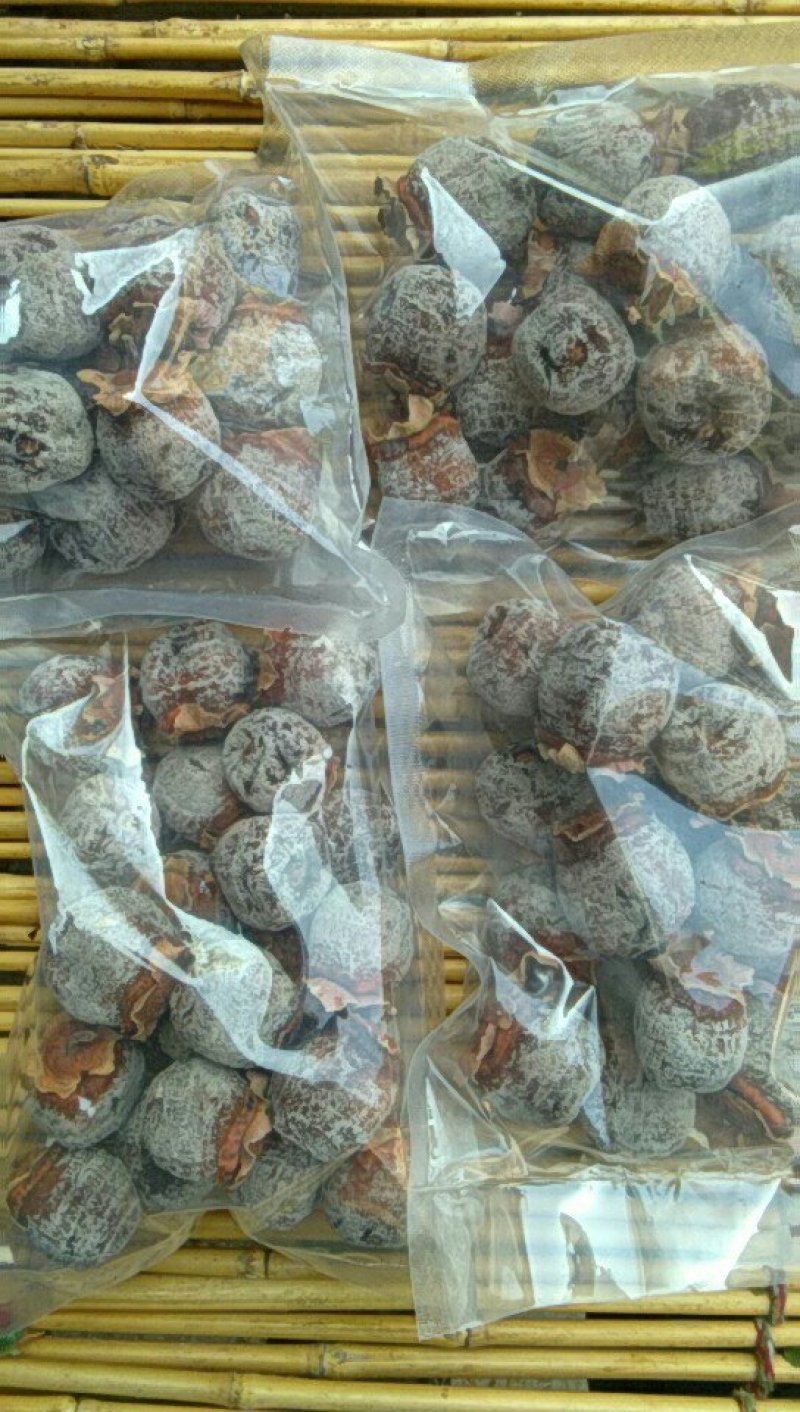 隔壁老王家的柿饼