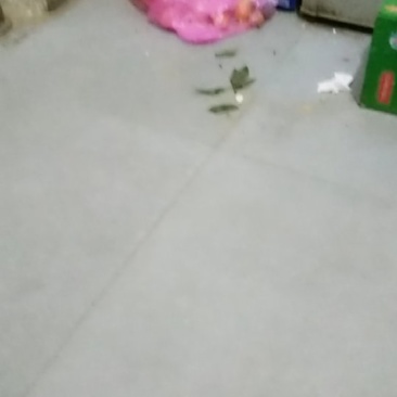 联糸电话17806046061