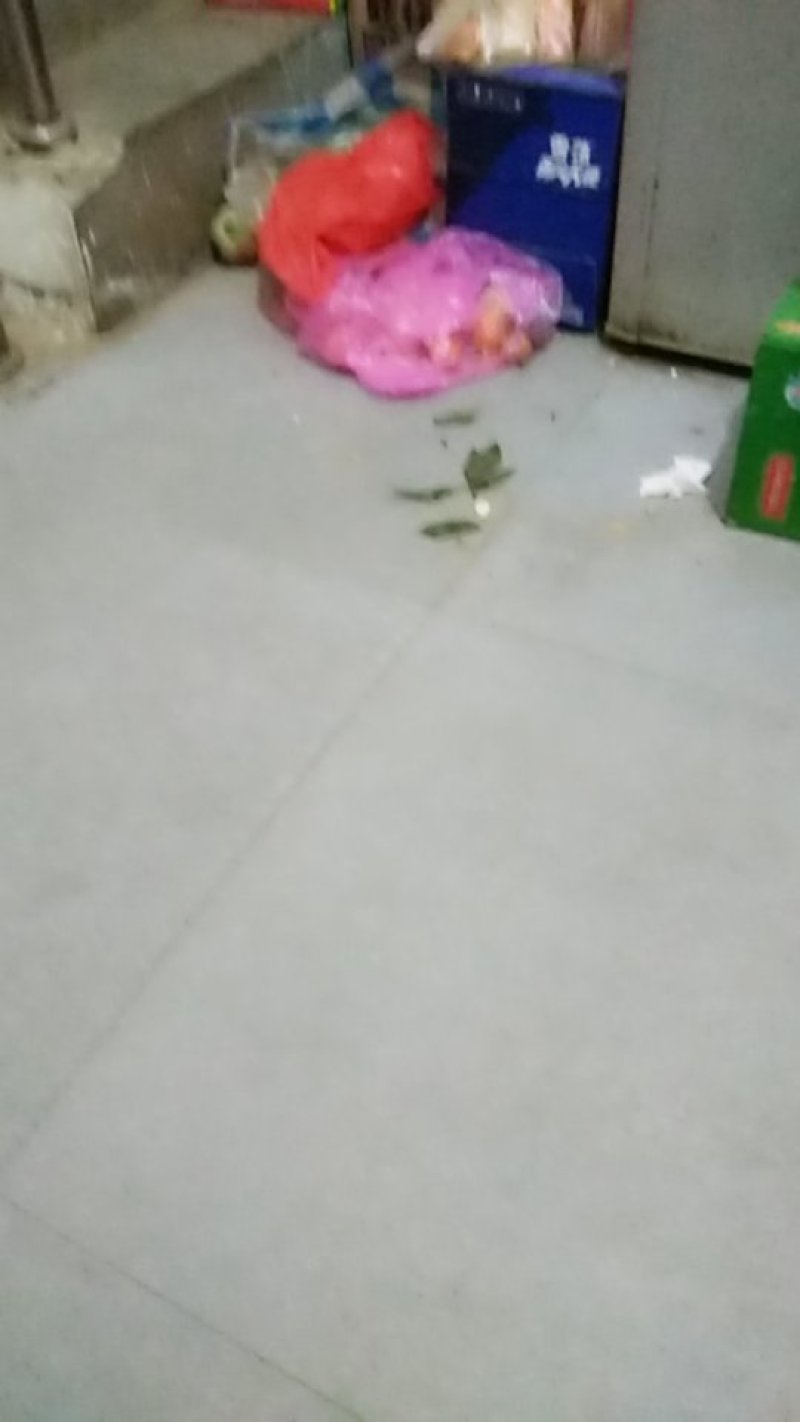 联糸电话17806046061
