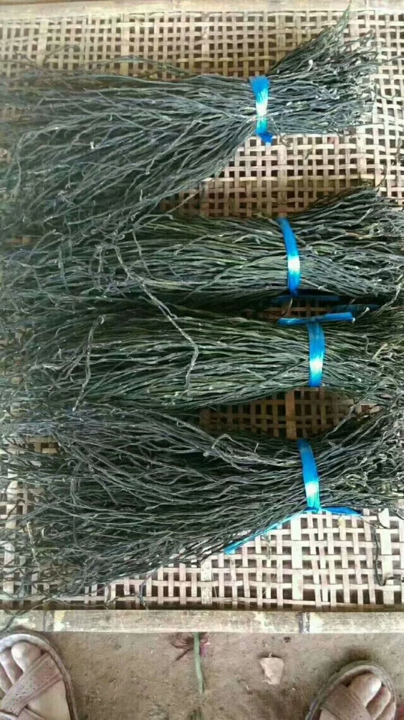 干豆角2020新货精品无黄条全绿条纯干