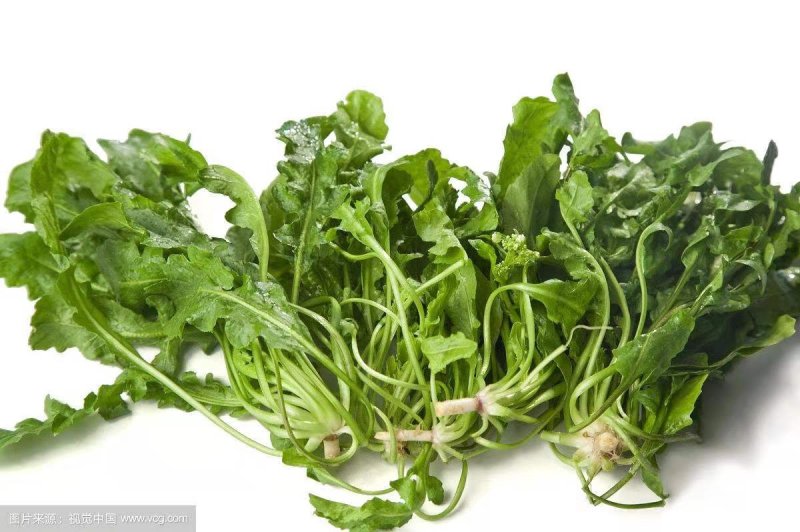 脱水荠菜厂家直销脱水荠菜