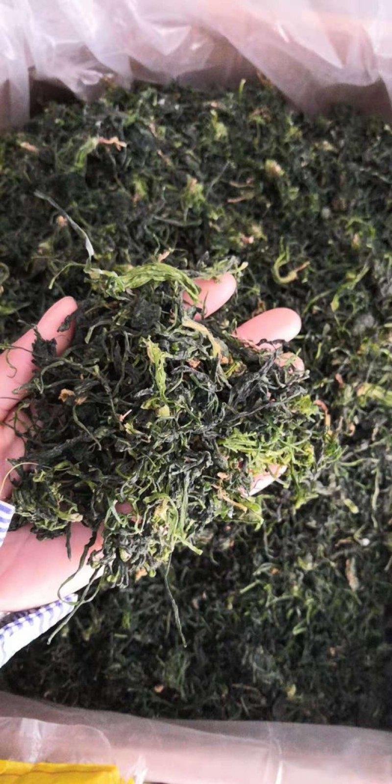 脱水荠菜厂家直销脱水荠菜