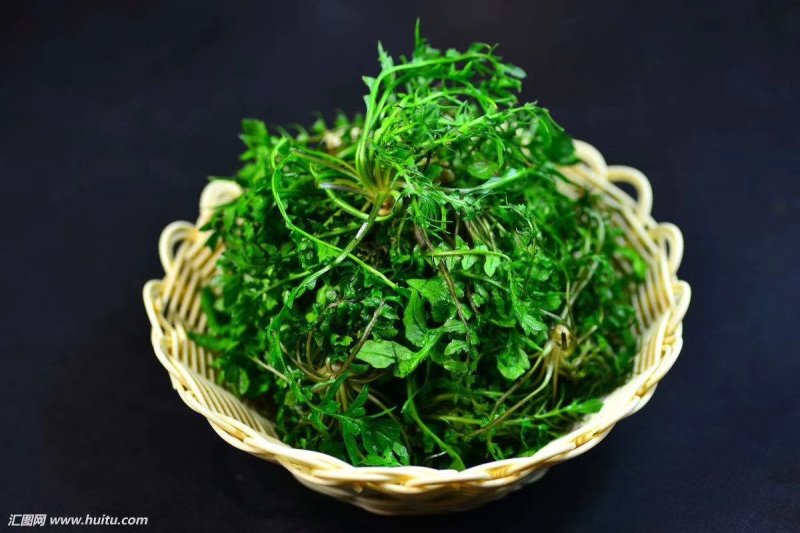 脱水荠菜厂家直销脱水荠菜