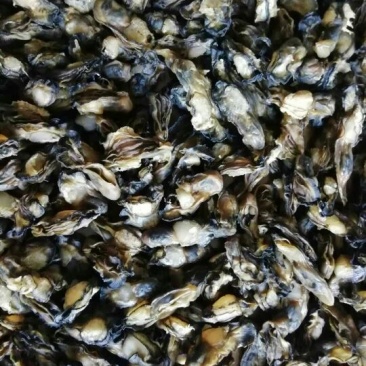 海砺肉，海砺干