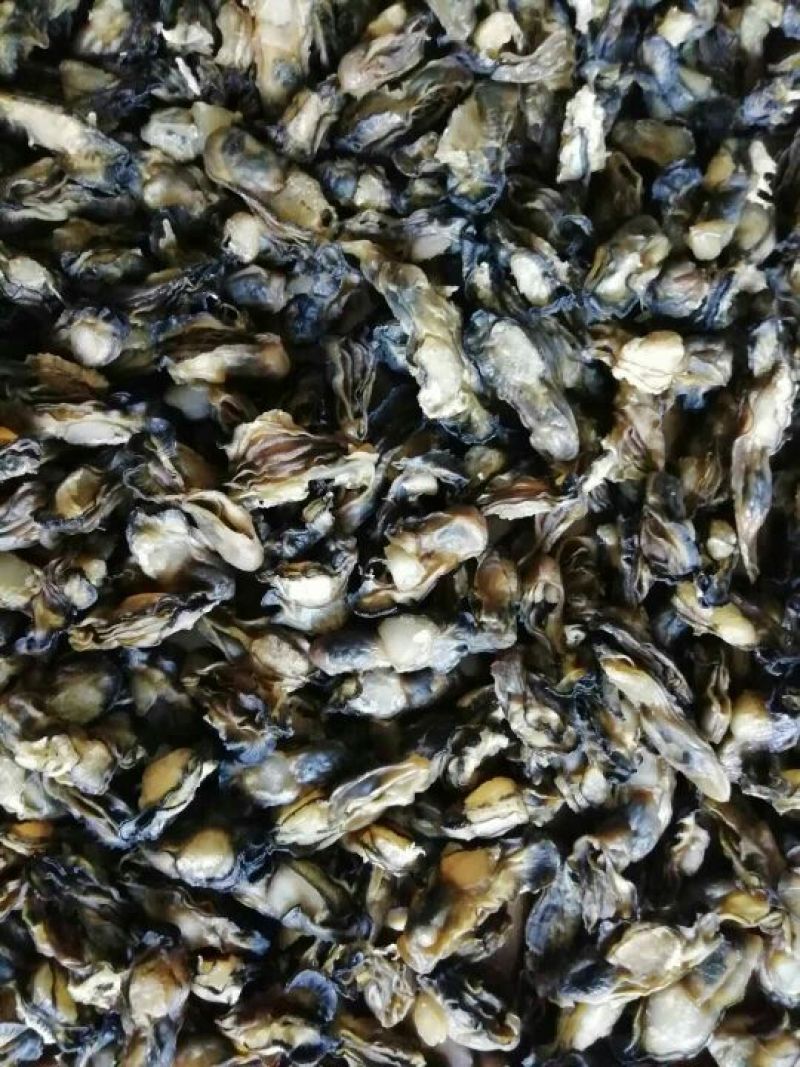 海砺肉，海砺干