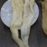 黄花胶筒