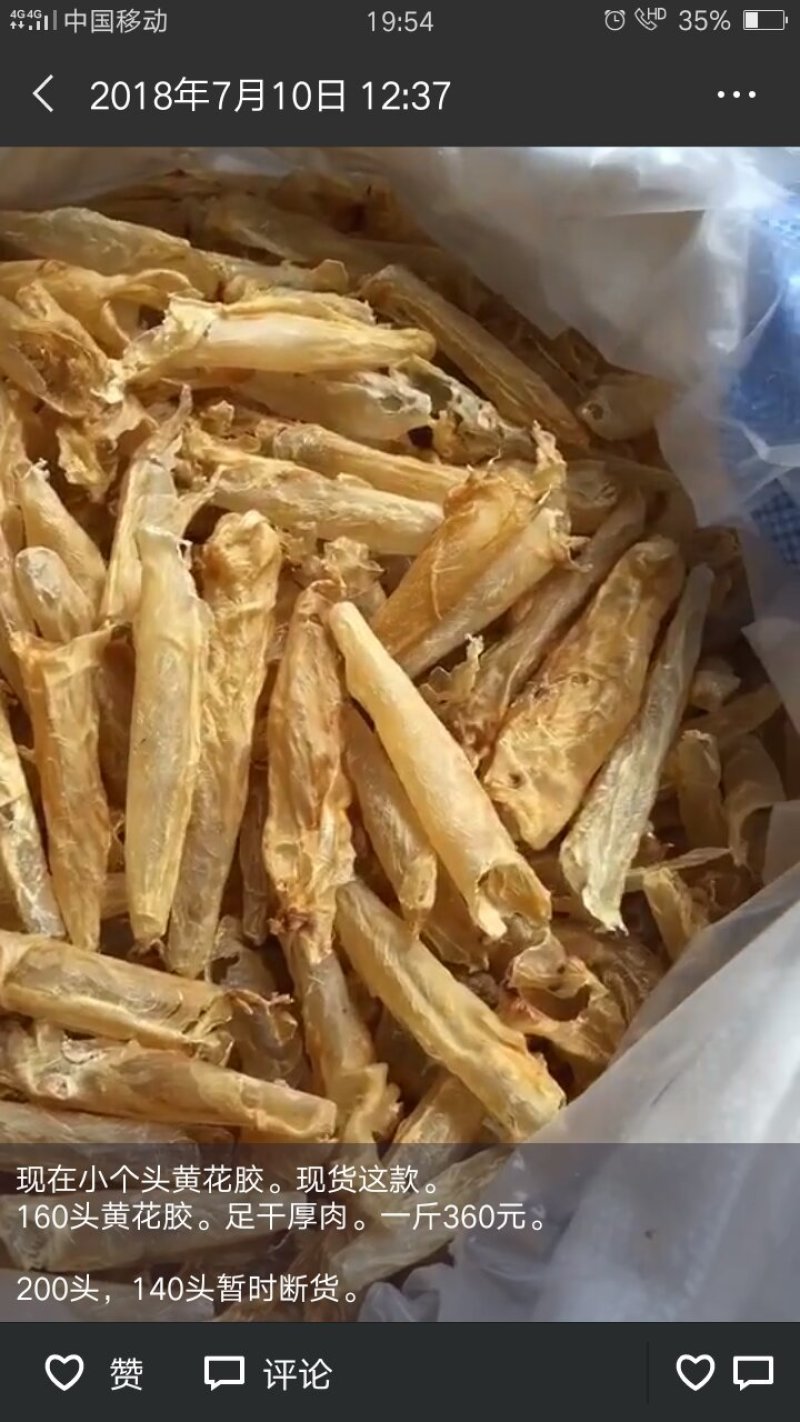 黄花胶筒