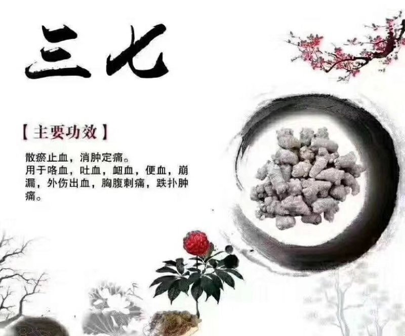 15头三七