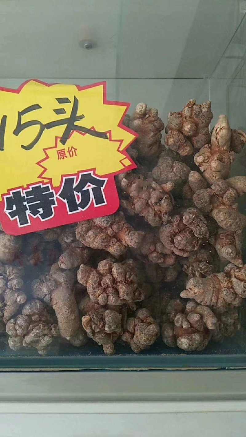 15头三七
