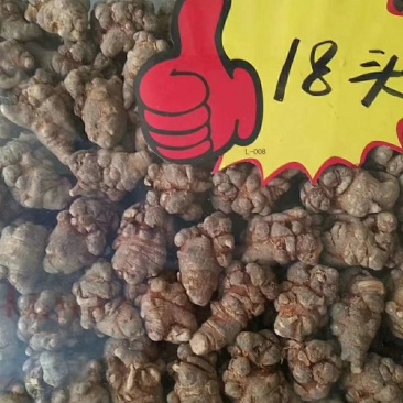 十八头三七