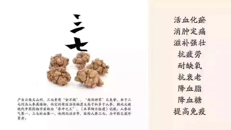 三七80头