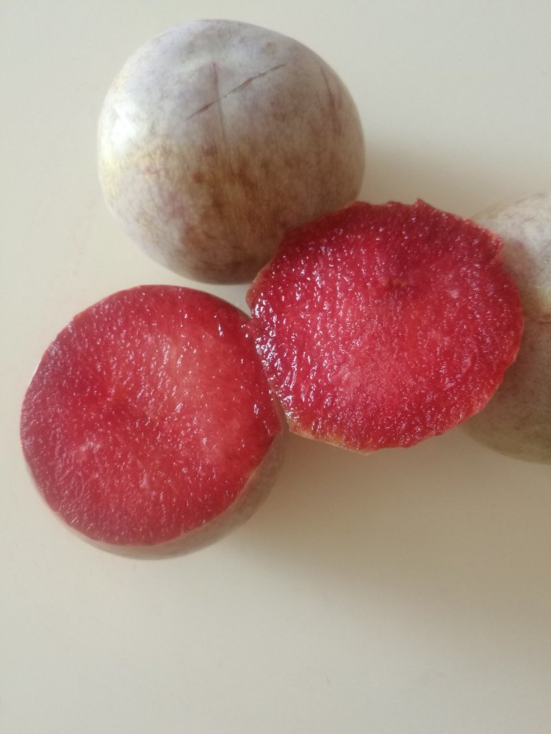 恐龙蛋李子苗/味帝树苗/味王树苗/风味皇后