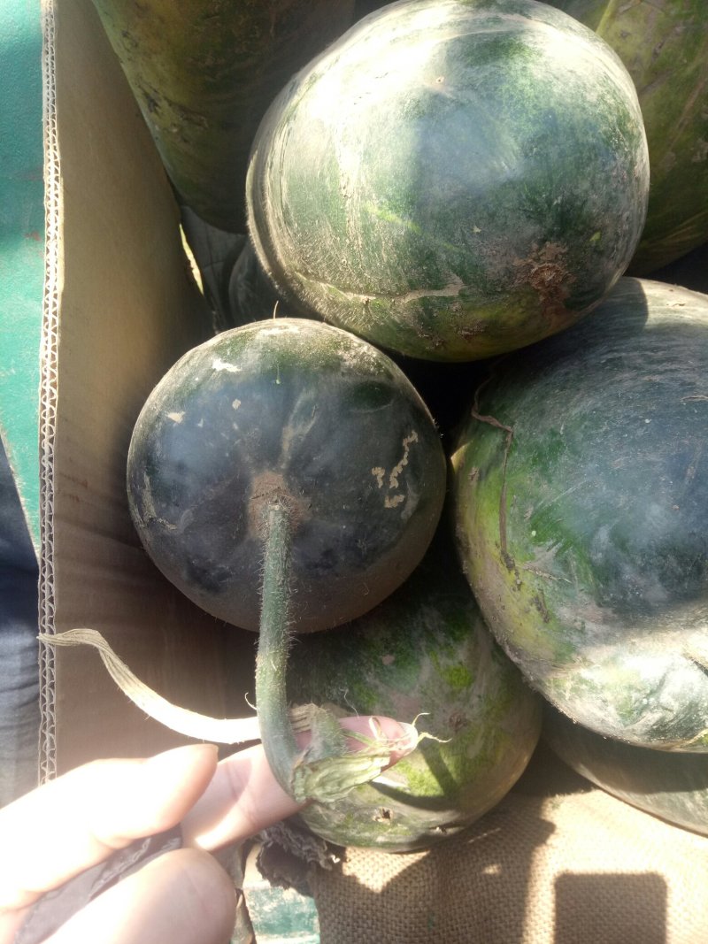 一流品质与服务.二流价格