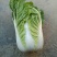 黄心大白菜质量好，价格合理