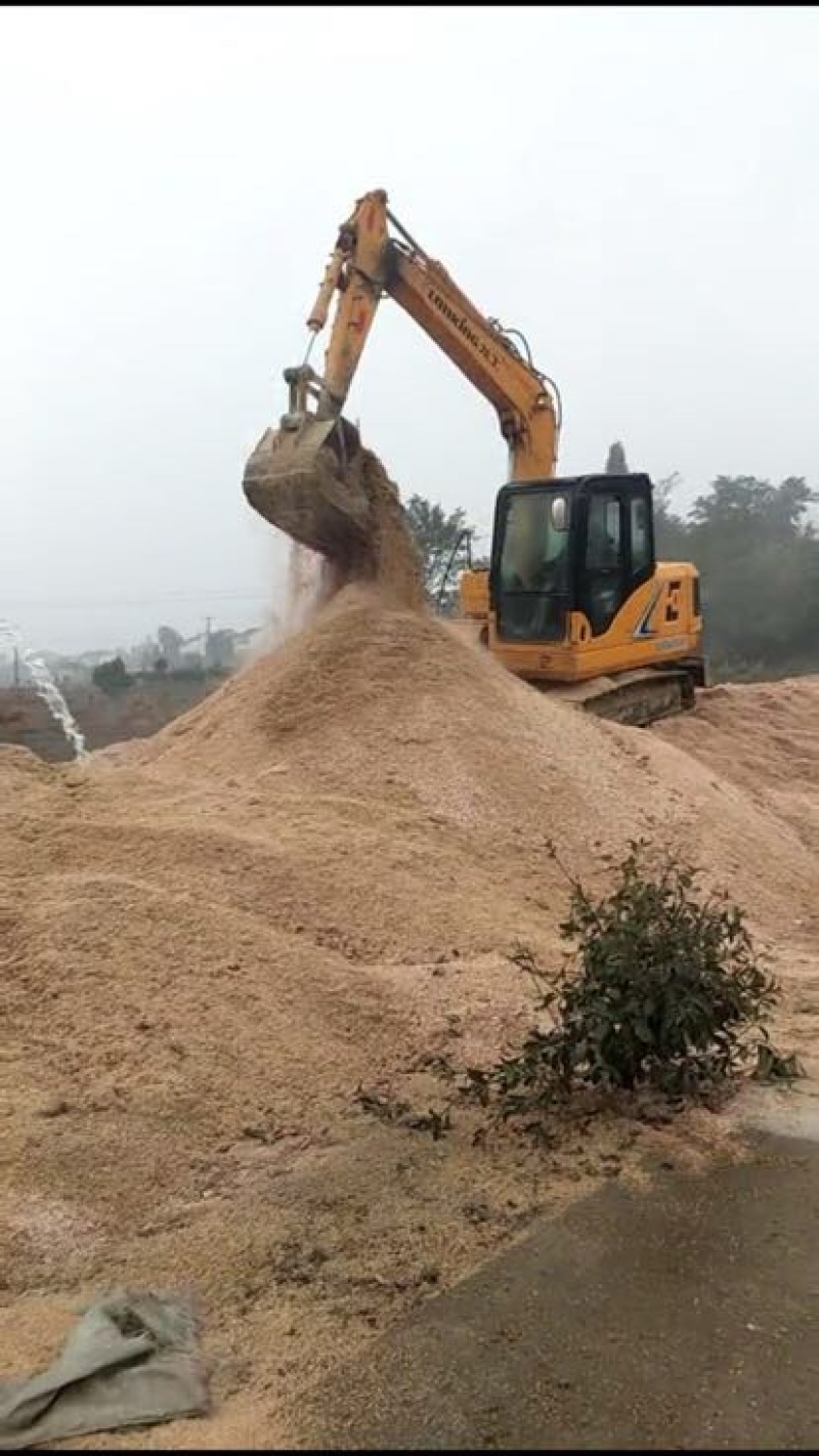 食用菌