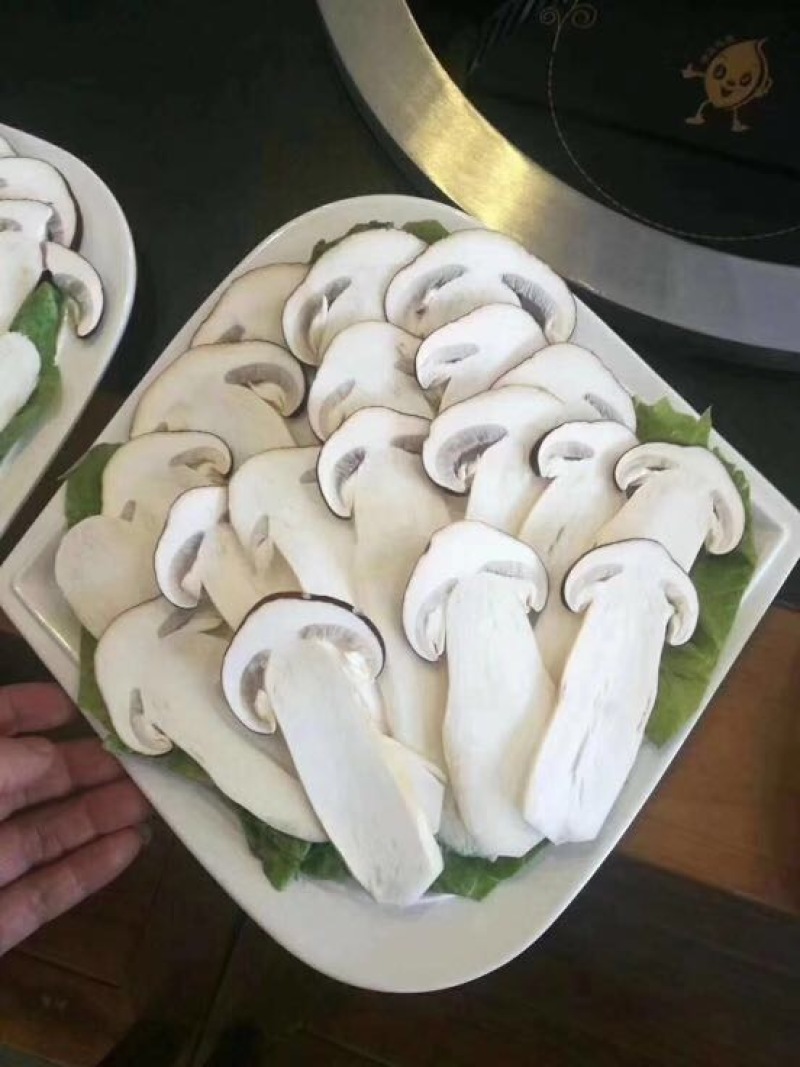 食用菌