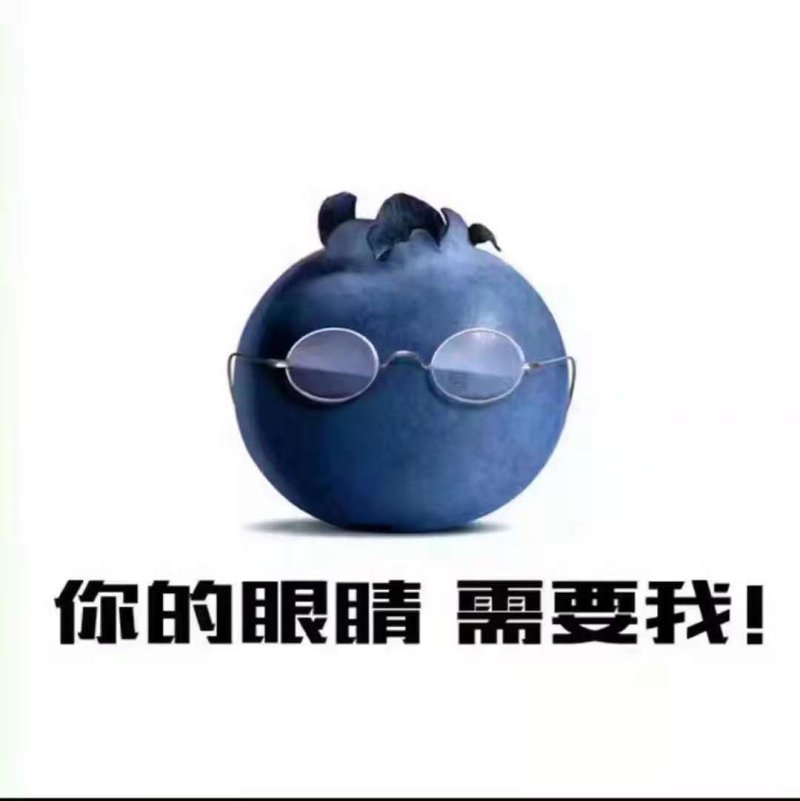 长白山野生蓝莓干，独立包装