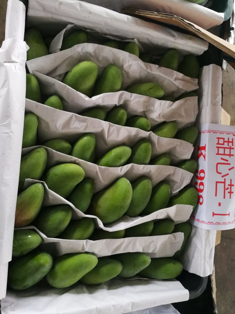 越南甜心芒