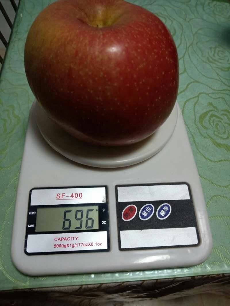 阿克苏冰糖心超大果脆甜多汁新鲜顺丰包邮代理优惠一件代发